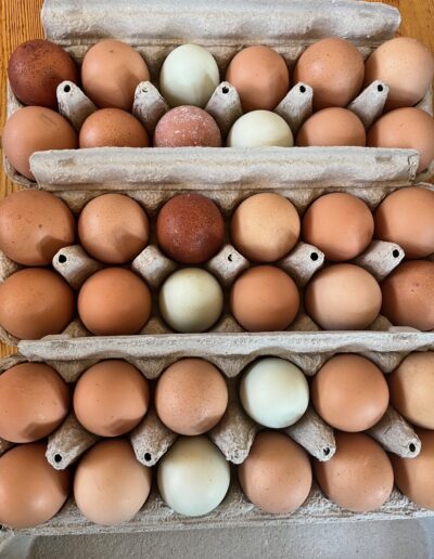 Image of organic eggs